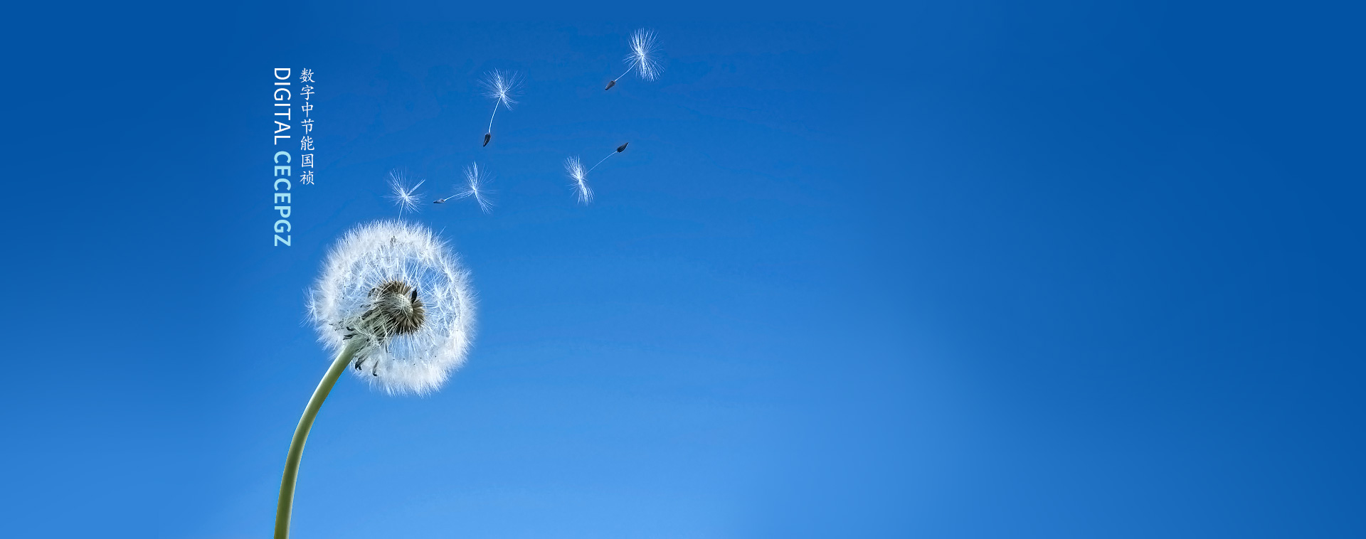 �춹Ǯ�� - ��ȫ�ɿ��ĸ����ʽ����Ǯ�������������������Ƽ��ɷ����޹�˾