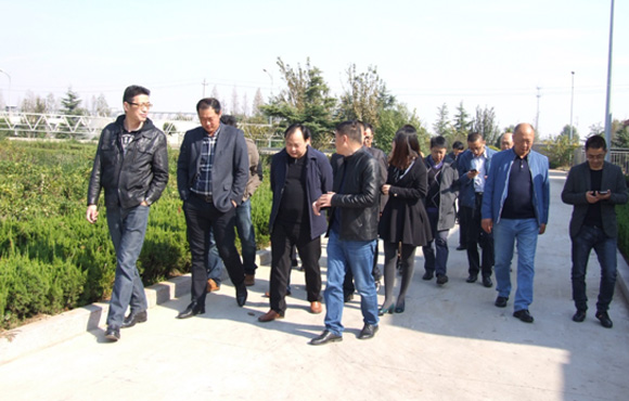 ��������2017���������г�����ۻ�˳���ٿ�