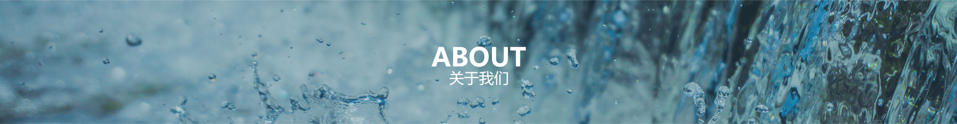 ���ں춹Ǯ�� - �徲�ɿ���С��˽���ʽ�����Ǯ��