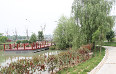 ��������ˮ����ò������