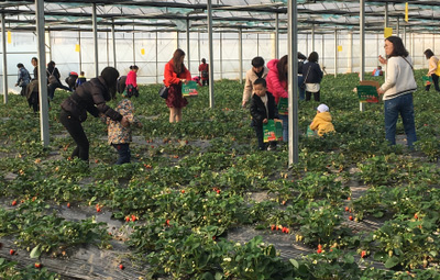 ��Լ��ժ��ݮ����������������������԰��Ȥ