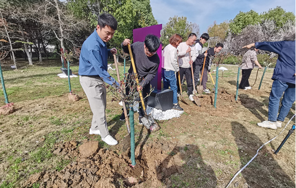 ֲ��������������������������ح�춹Ǯ�� - ��ȫ�ɿ��ĸ����ʽ����Ǯ����չϵ������ֲ���˶�