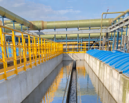 S-IBRһ�廯���ﷴӦ��