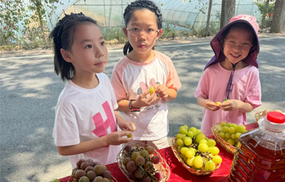 ����조������С�֡��˶�