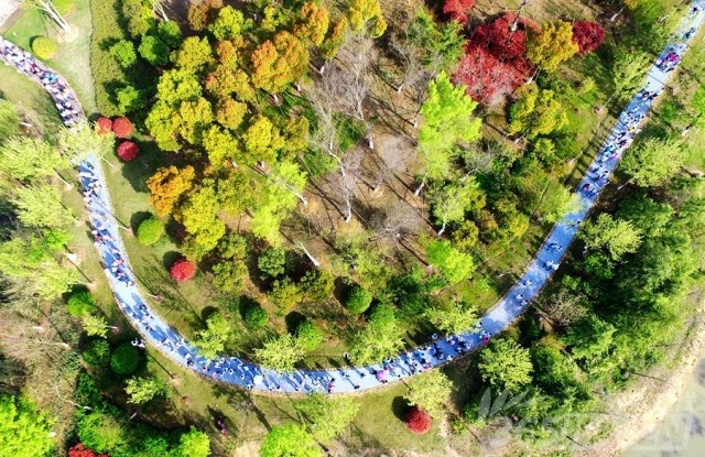 ��������-���ֹ�����������